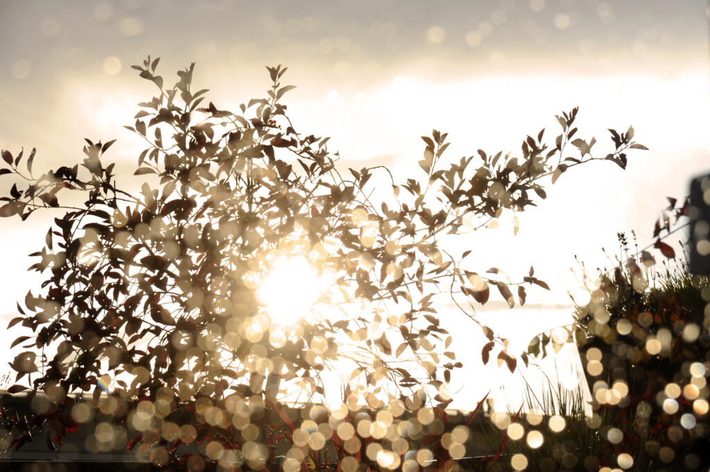 WassertropfenSonne